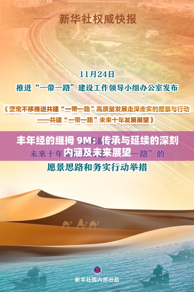 丰年经的继拇 9M：传承与延续的深刻内涵及未来展望
