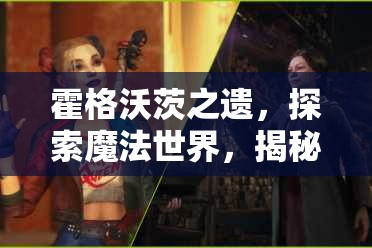 霍格沃茨之遗，探索魔法世界，揭秘茱萸与毒菇的奇妙冒险之旅