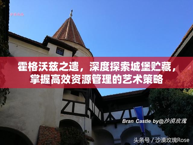霍格沃兹之遗，深度探索城堡贮藏，掌握高效资源管理的艺术策略