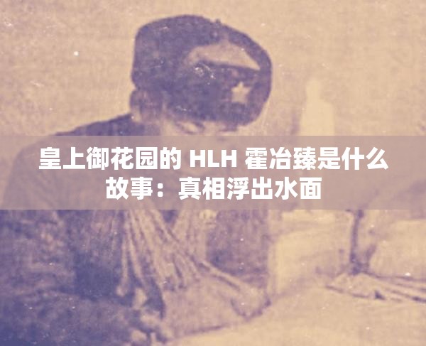皇上御花园的 HLH 霍冶臻是什么故事：真相浮出水面