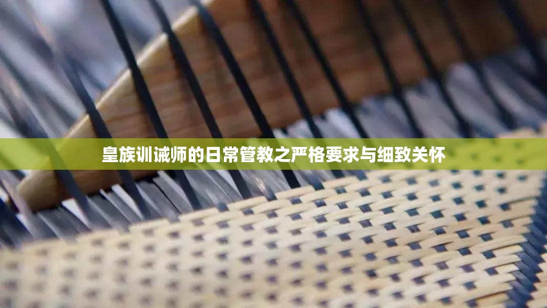 皇族训诫师的日常管教之严格要求与细致关怀