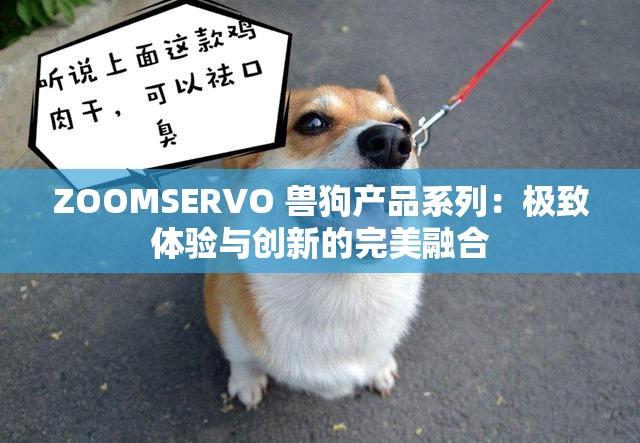 ZOOMSERVO 兽狗产品系列：极致体验与创新的完美融合