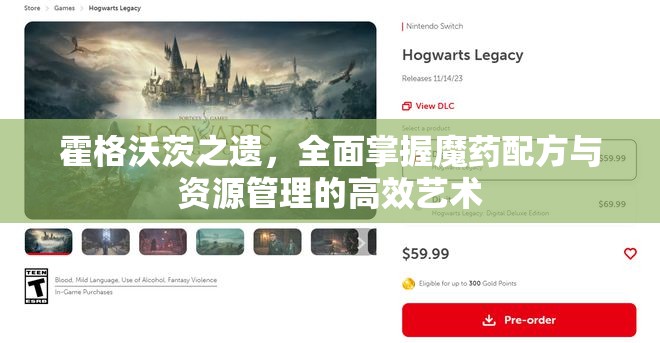 霍格沃茨之遗，全面掌握魔药配方与资源管理的高效艺术