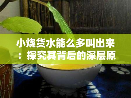 小烧货水能么多叫出来：探究其背后的深层原因与影响