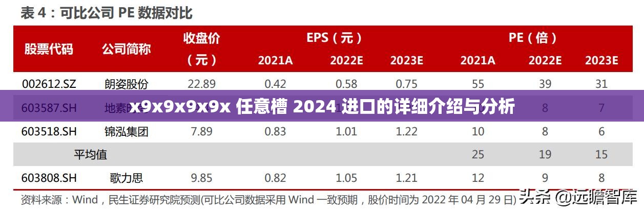 x9x9x9x9x 任意槽 2024 进口的详细介绍与分析