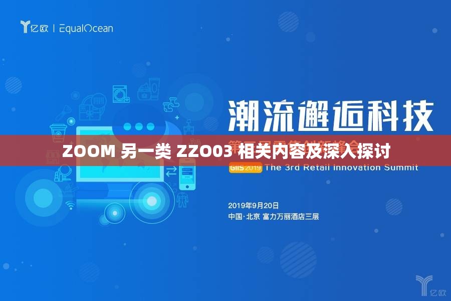 ZOOM 另一类 ZZO03 相关内容及深入探讨