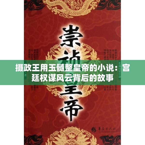 摄政王用玉髓整皇帝的小说：宫廷权谋风云背后的故事