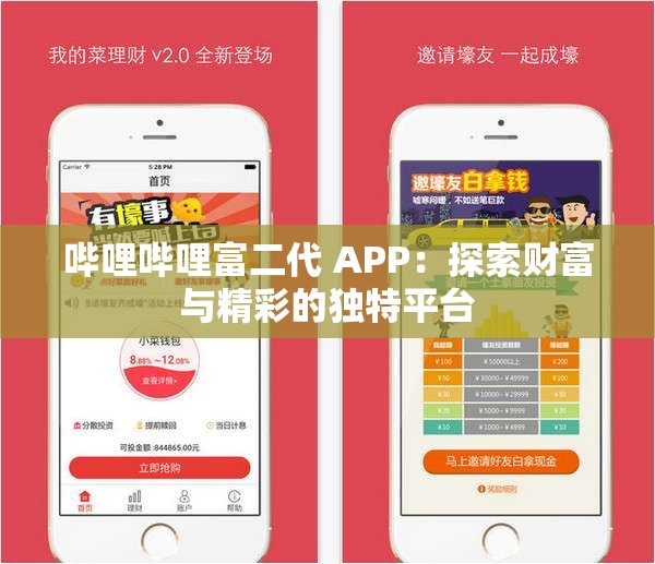 哔哩哔哩富二代 APP：探索财富与精彩的独特平台