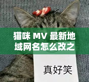 猫咪 MV 最新地域网名怎么改之相关探讨