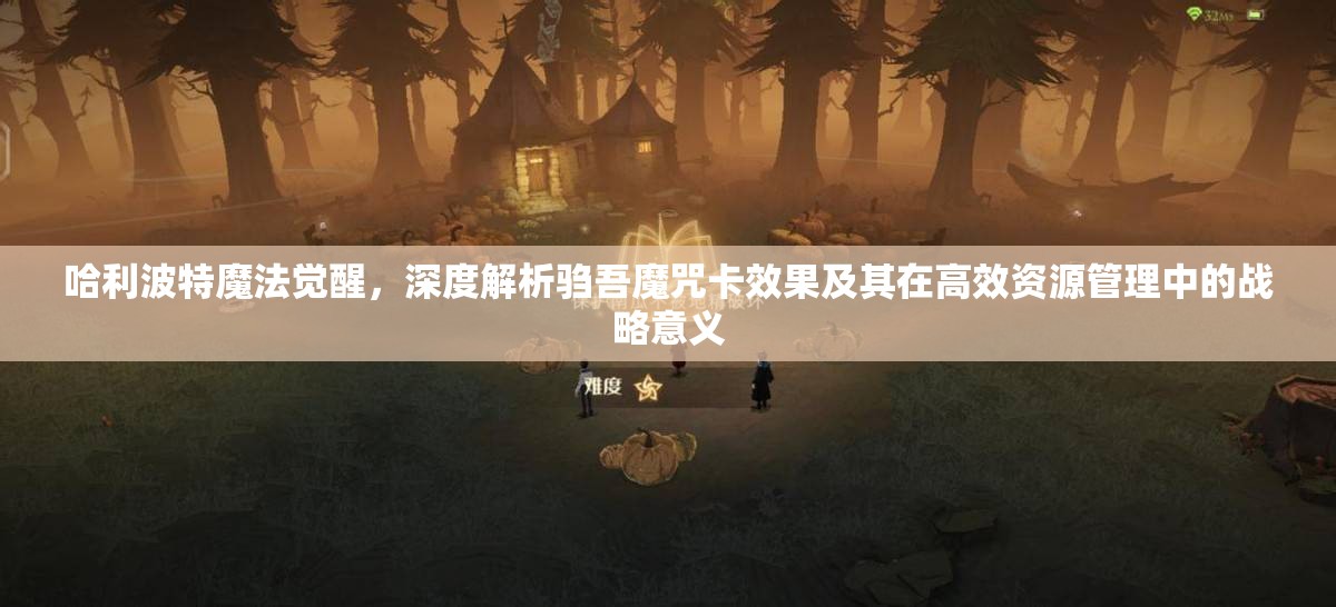 哈利波特魔法觉醒，深度解析驺吾魔咒卡效果及其在高效资源管理中的战略意义