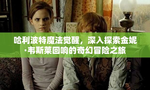 哈利波特魔法觉醒，深入探索金妮·韦斯莱回响的奇幻冒险之旅