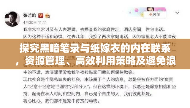 探究黑暗笔录与纸嫁衣的内在联系，资源管理、高效利用策略及避免浪费方法