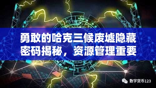 勇敢的哈克三候废墟隐藏密码揭秘，资源管理重要性及高效利用实战策略