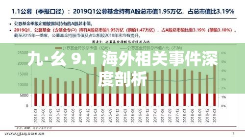 九·幺 9.1 海外相关事件深度剖析