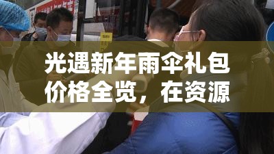 光遇新年雨伞礼包价格全览，在资源管理中的重要性及实现高效利用的综合策略