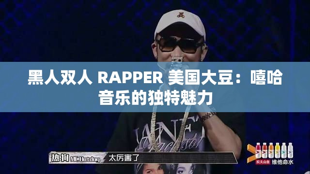 黑人双人 RAPPER 美国大豆：嘻哈音乐的独特魅力