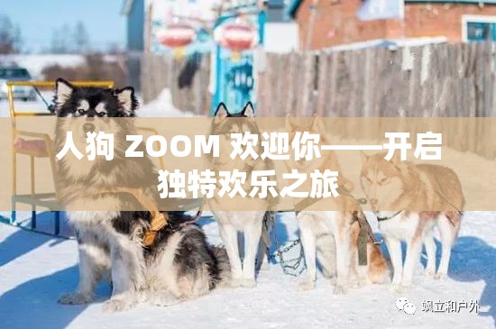 人狗 ZOOM 欢迎你——开启独特欢乐之旅