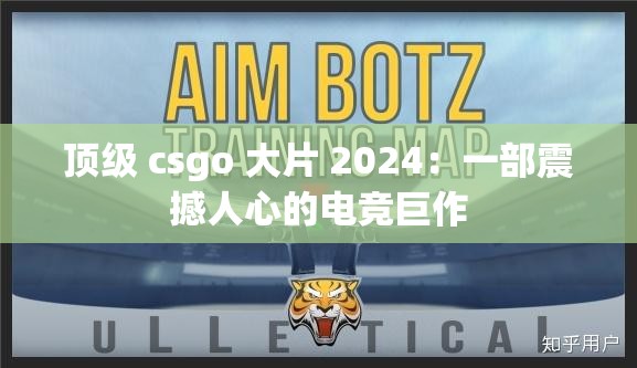 顶级 csgo 大片 2024：一部震撼人心的电竞巨作