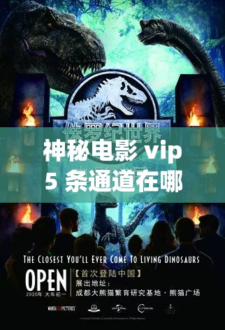 神秘电影 vip5 条通道在哪：带你探索未知的观影路径