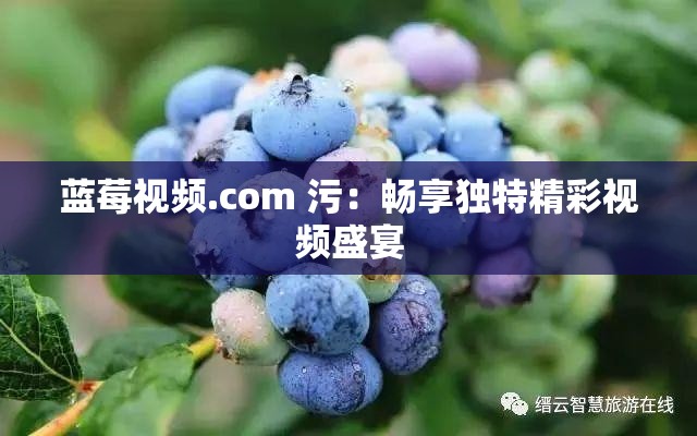 蓝莓视频.com 污：畅享独特精彩视频盛宴