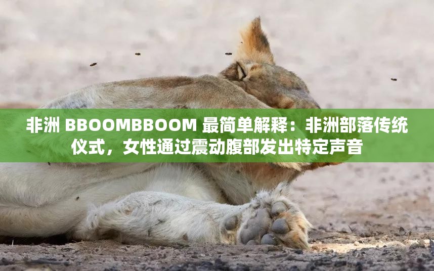 非洲 BBOOMBBOOM 最简单解释：非洲部落传统仪式，女性通过震动腹部发出特定声音