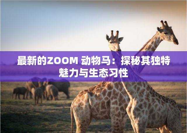 最新的ZOOM 动物马：探秘其独特魅力与生态习性