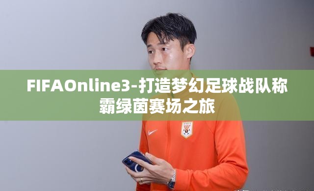 FIFAOnline3-打造梦幻足球战队称霸绿茵赛场之旅