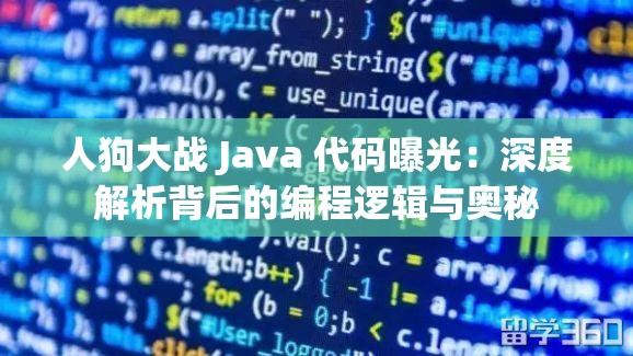 人狗大战 Java 代码曝光：深度解析背后的编程逻辑与奥秘