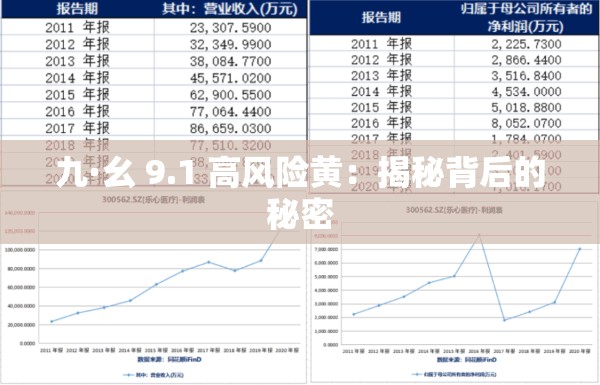 九·幺 9.1 高风险黄：揭秘背后的秘密