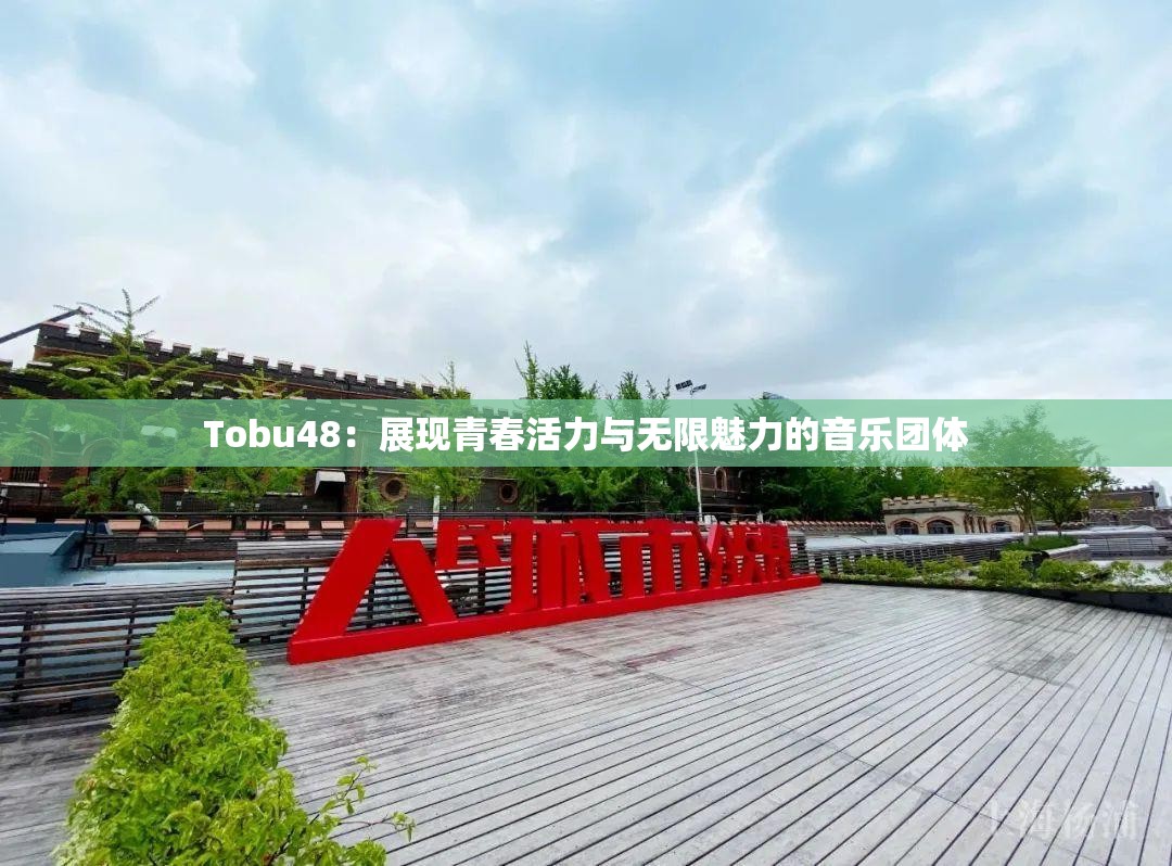 Tobu48：展现青春活力与无限魅力的音乐团体