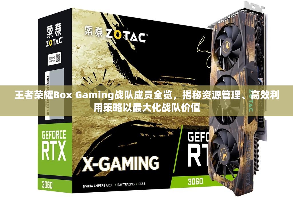 王者荣耀Box Gaming战队成员全览，揭秘资源管理、高效利用策略以最大化战队价值