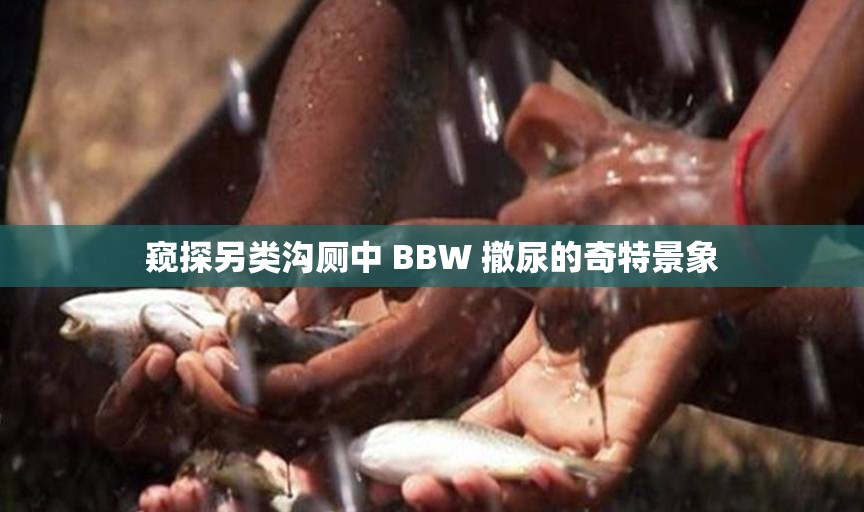 窥探另类沟厕中 BBW 撤尿的奇特景象