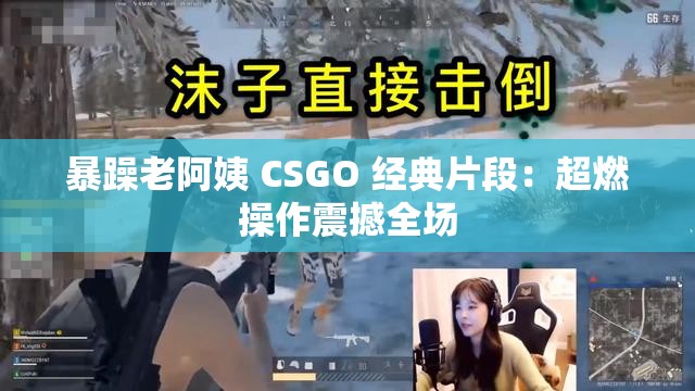 暴躁老阿姨 CSGO 经典片段：超燃操作震撼全场