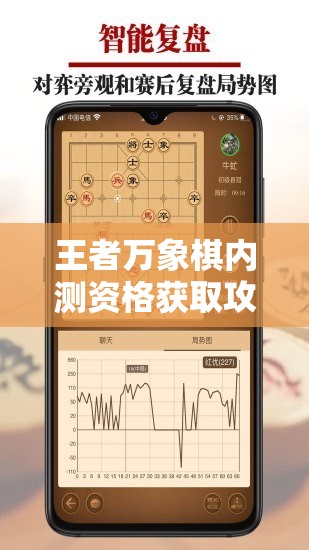 王者万象棋内测资格获取攻略，资源管理、高效利用策略以实现价值最大化