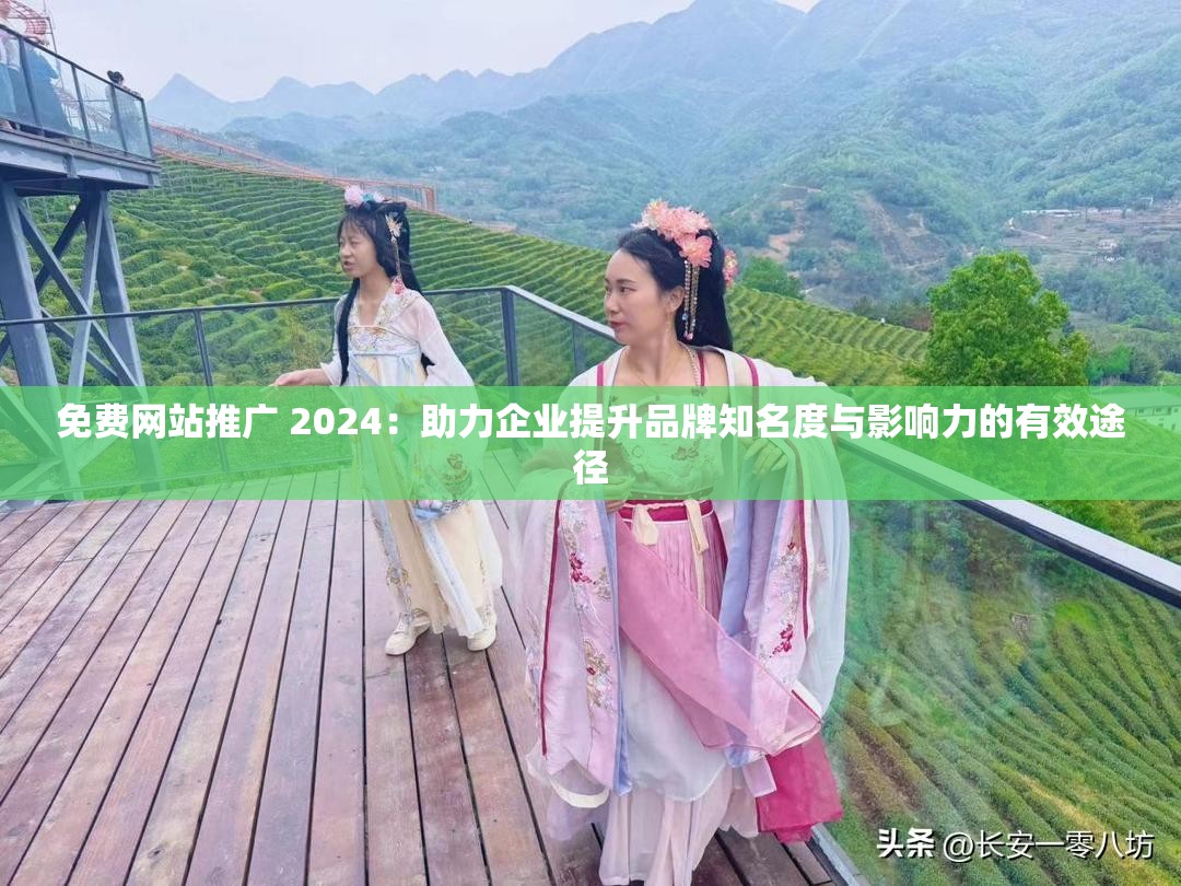 免费网站推广 2024：助力企业提升品牌知名度与影响力的有效途径