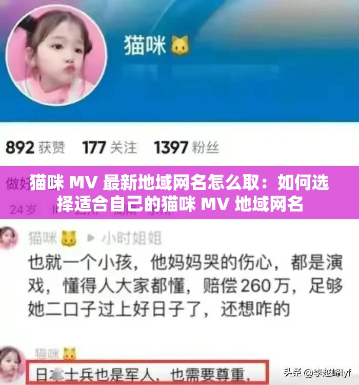 猫咪 MV 最新地域网名怎么取：如何选择适合自己的猫咪 MV 地域网名