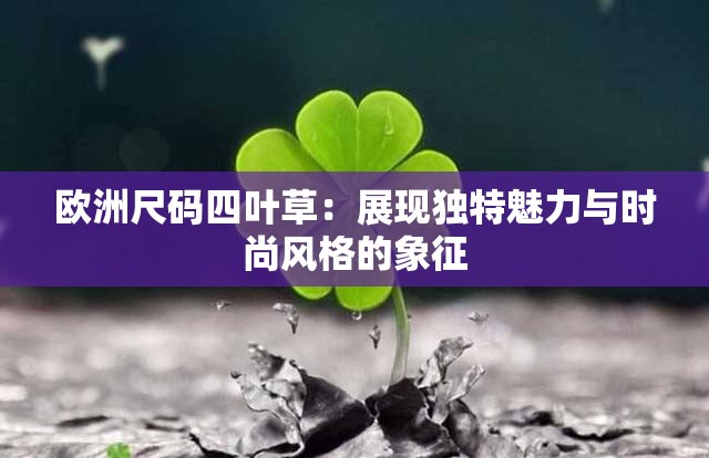 欧洲尺码四叶草：展现独特魅力与时尚风格的象征