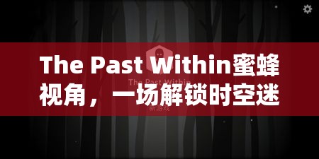 The Past Within蜜蜂视角，一场解锁时空迷局、探寻智慧奥秘的非凡旅程