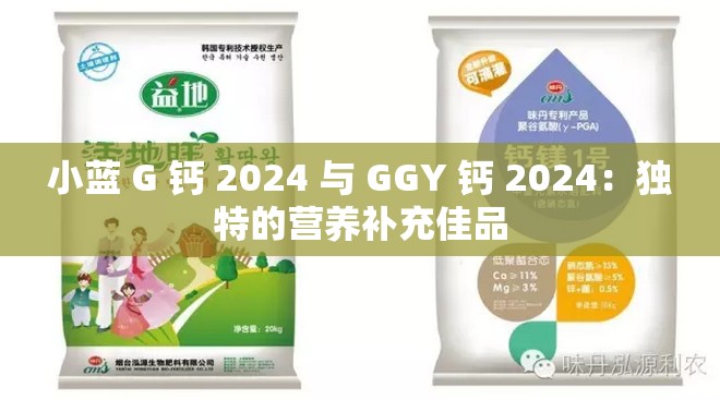 小蓝 G 钙 2024 与 GGY 钙 2024：独特的营养补充佳品