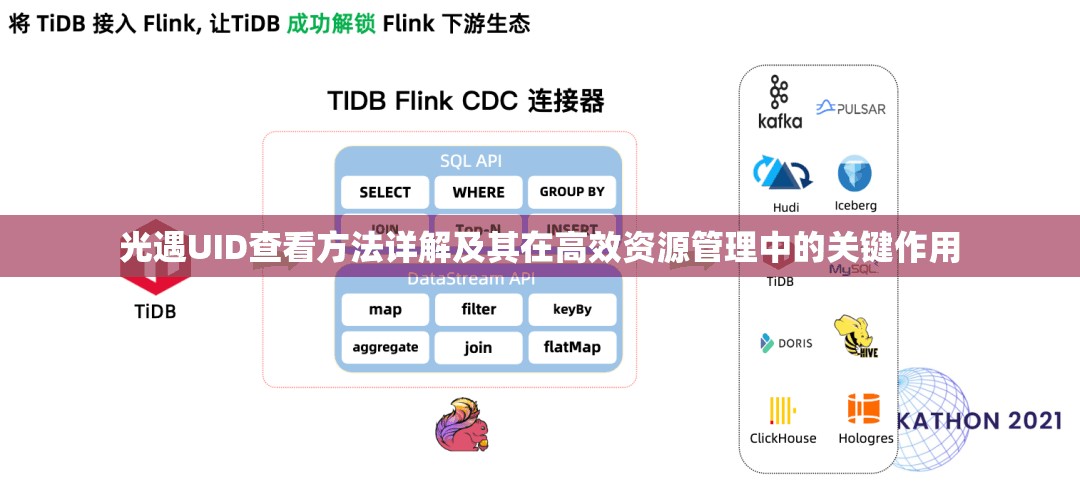 光遇UID查看方法详解及其在高效资源管理中的关键作用