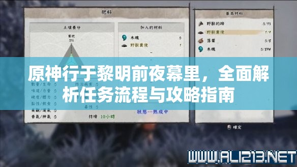 原神行于黎明前夜幕里，全面解析任务流程与攻略指南