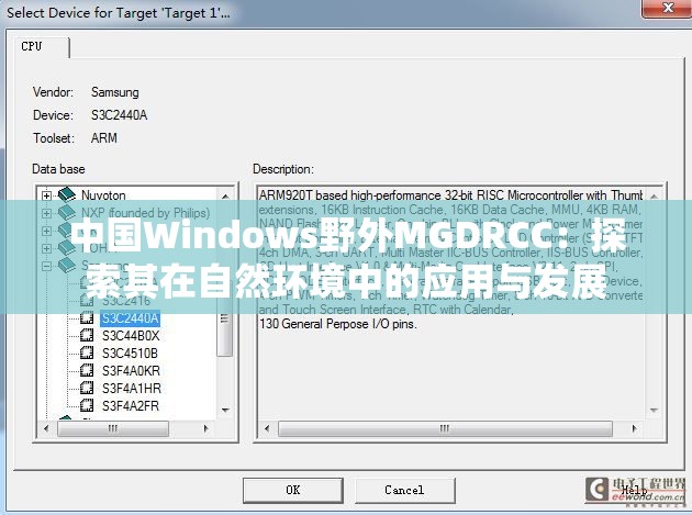 中国Windows野外MGDRCC：探索其在自然环境中的应用与发展