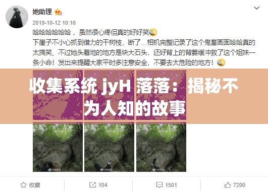 收集系统 jyH 落落：揭秘不为人知的故事