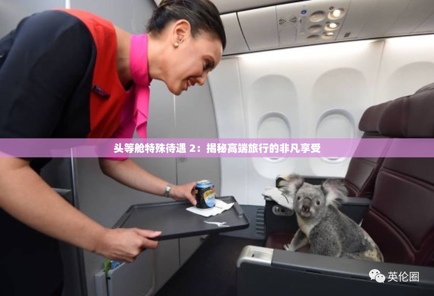 头等舱特殊待遇 2：揭秘高端旅行的非凡享受