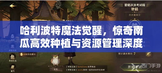 哈利波特魔法觉醒，惊奇南瓜高效种植与资源管理深度攻略