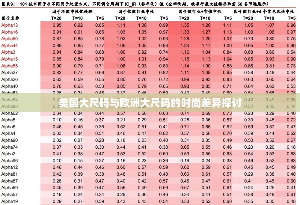 美国大尺码与欧洲大尺码的时尚差异探讨