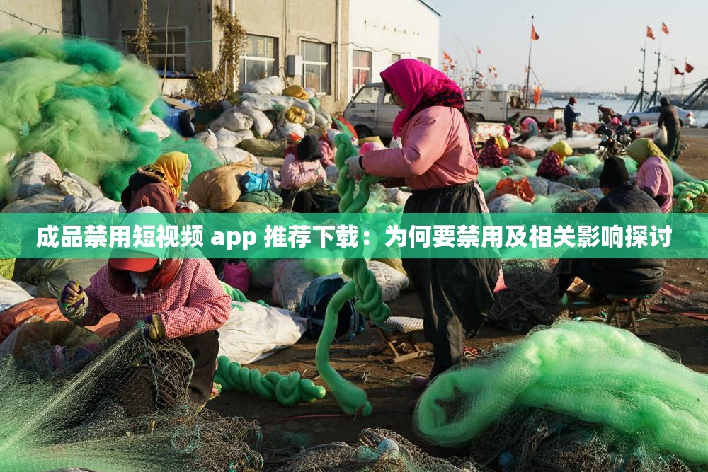 成品禁用短视频 app 推荐下载：为何要禁用及相关影响探讨