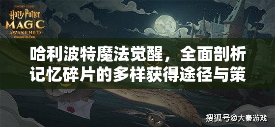 哈利波特魔法觉醒，全面剖析记忆碎片的多样获得途径与策略