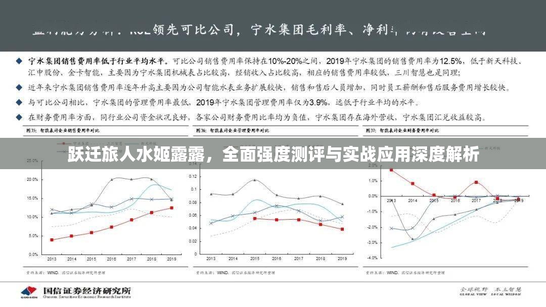 跃迁旅人水姬露露，全面强度测评与实战应用深度解析