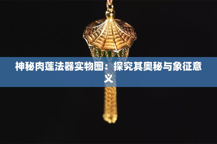 神秘肉莲法器实物图：探究其奥秘与象征意义